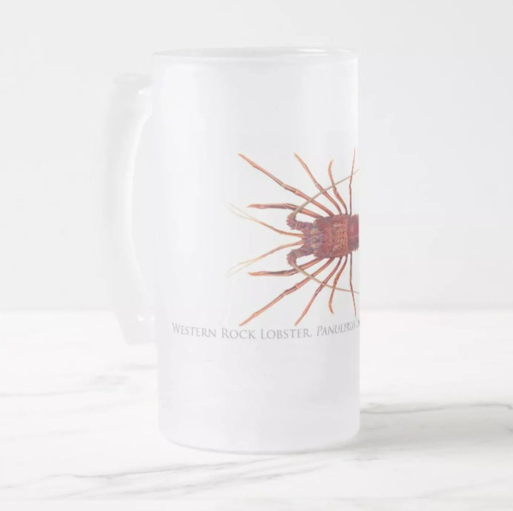 Western Rock Lobster - Frosted Glass Stein - Stick Figure Fish Illustration